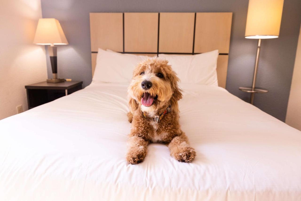 Sonesta Simply Orange County Airport Hotel Santa Ana